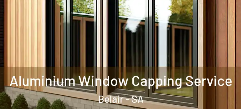 Aluminium Window Capping Service Belair - SA