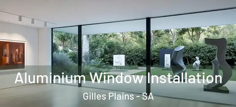 Aluminium Window Installation Gilles Plains - SA