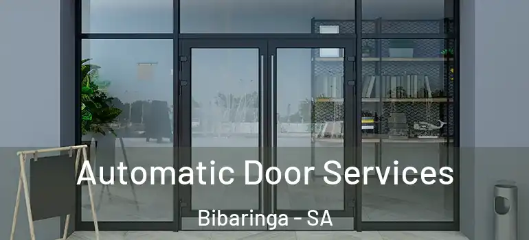 Automatic Door Services Bibaringa - SA