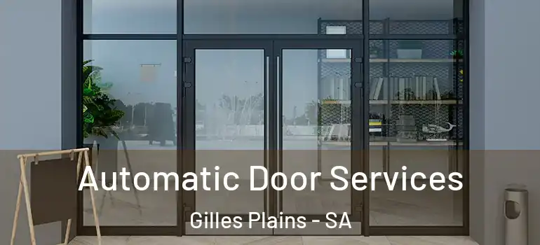 Automatic Door Services Gilles Plains - SA