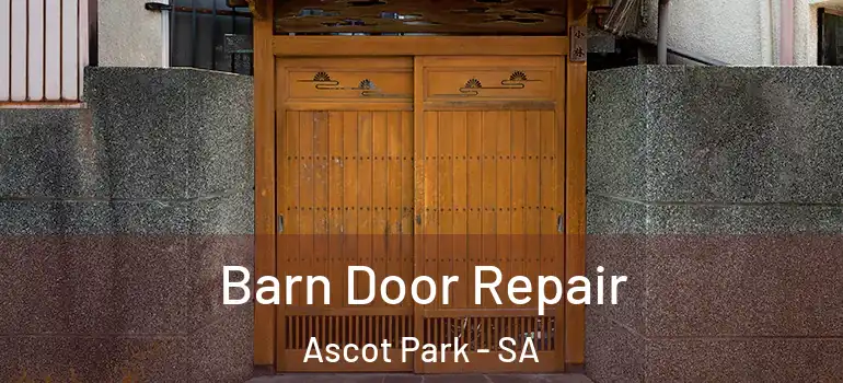 Barn Door Repair Ascot Park - SA