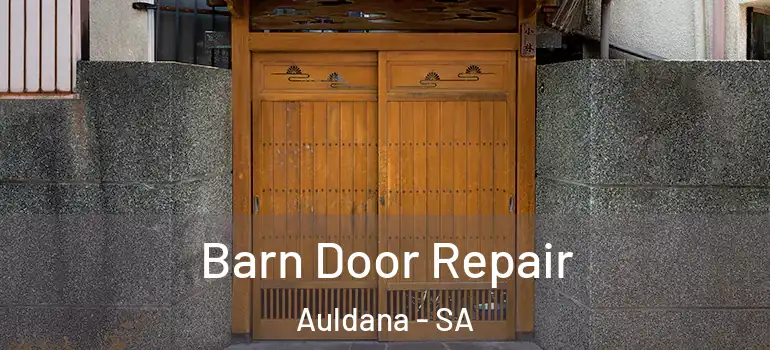 Barn Door Repair Auldana - SA