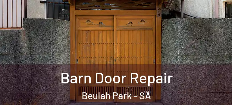 Barn Door Repair Beulah Park - SA