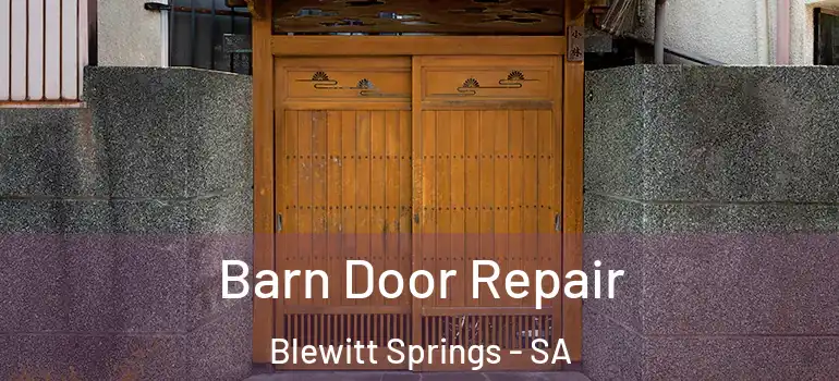Barn Door Repair Blewitt Springs - SA