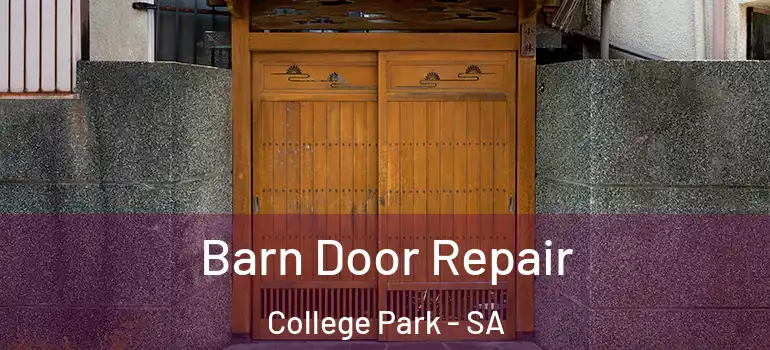 Barn Door Repair College Park - SA