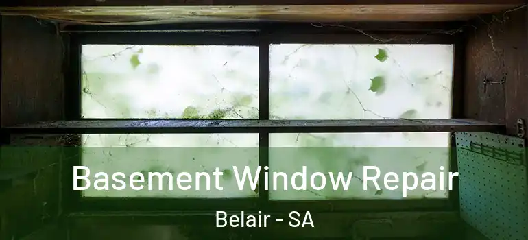  Basement Window Repair Belair - SA