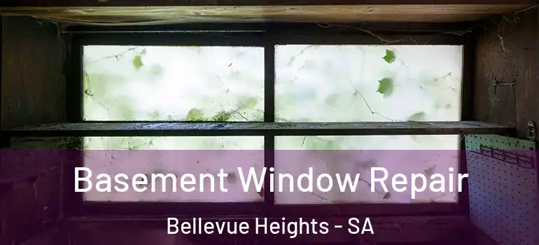 Basement Window Repair Bellevue Heights - SA