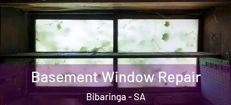 Basement Window Repair Bibaringa - SA