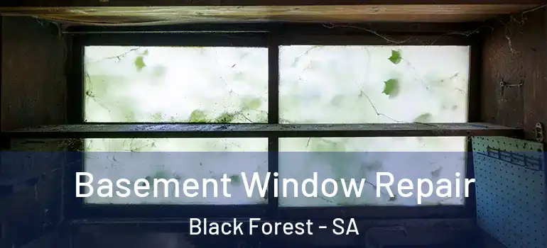 Basement Window Repair Black Forest - SA