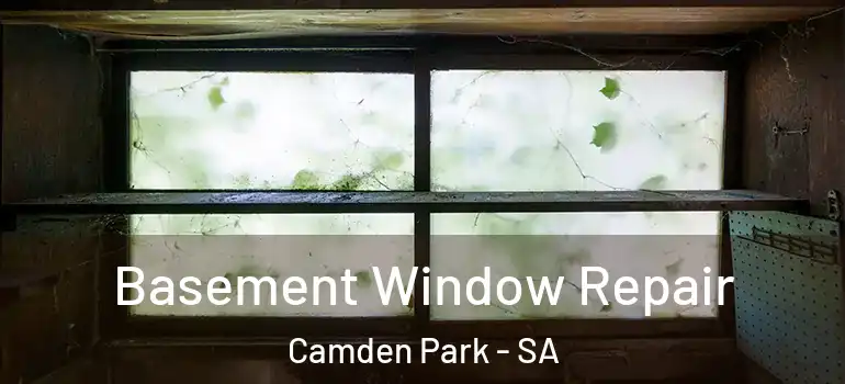 Basement Window Repair Camden Park - SA