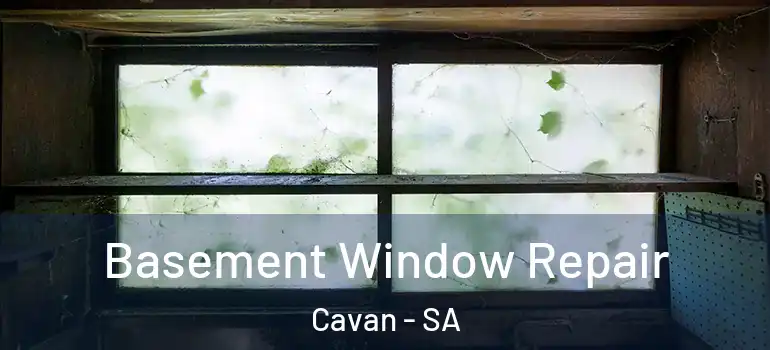 Basement Window Repair Cavan - SA