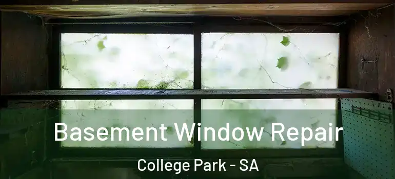 Basement Window Repair College Park - SA