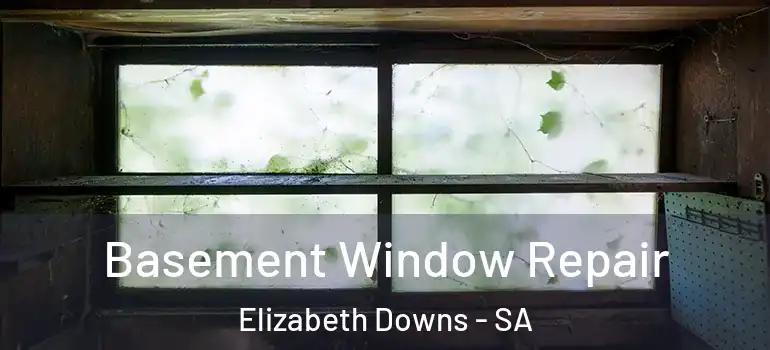 Basement Window Repair Elizabeth Downs - SA
