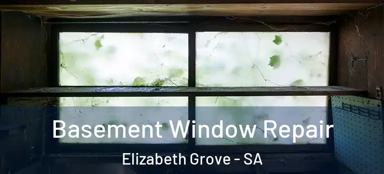 Basement Window Repair Elizabeth Grove - SA