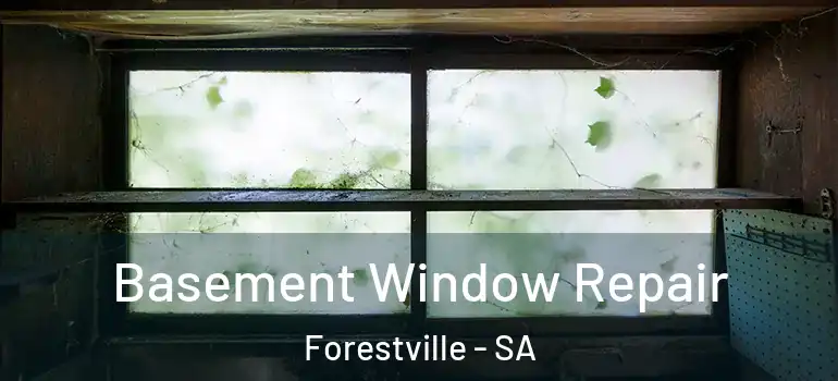  Basement Window Repair Forestville - SA