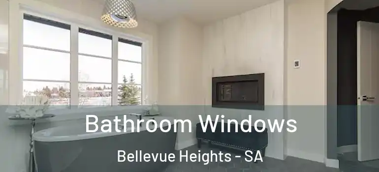 Bathroom Windows Bellevue Heights - SA