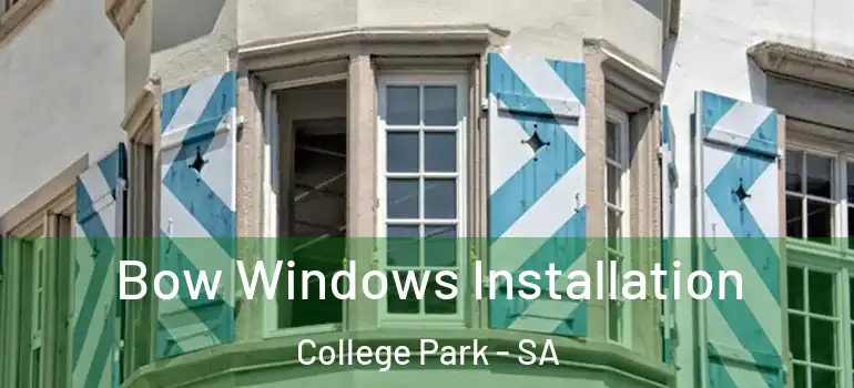 Bow Windows Installation College Park - SA