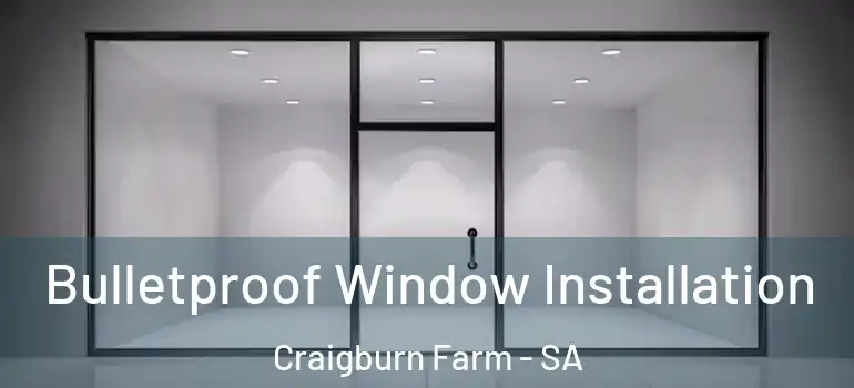 Bulletproof Window Installation Craigburn Farm - SA