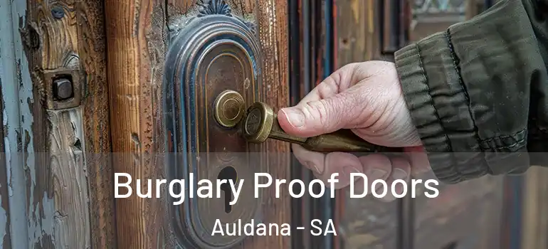 Burglary Proof Doors Auldana - SA