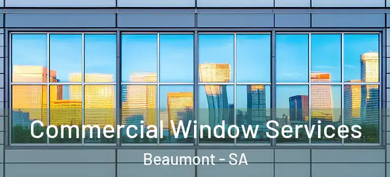 Commercial Window Services Beaumont - SA
