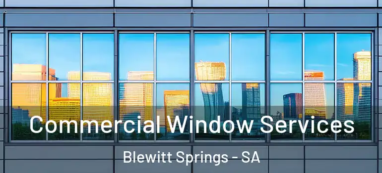 Commercial Window Services Blewitt Springs - SA