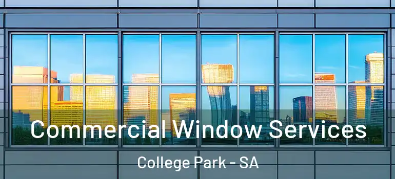 Commercial Window Services College Park - SA
