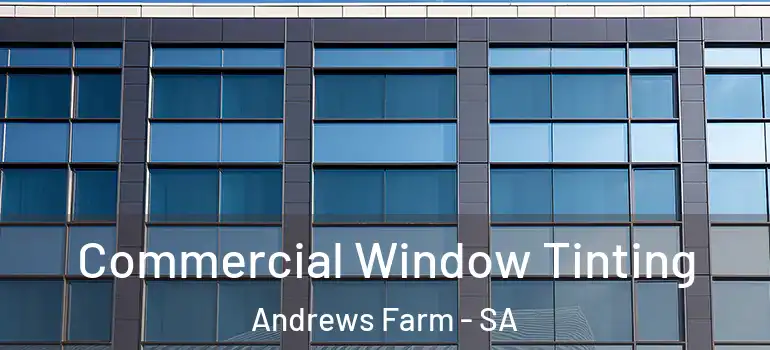 Commercial Window Tinting Andrews Farm - SA