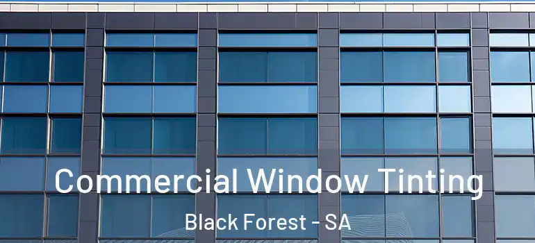 Commercial Window Tinting Black Forest - SA