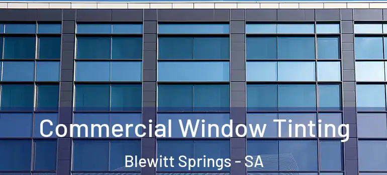 Commercial Window Tinting Blewitt Springs - SA