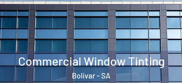  Commercial Window Tinting Bolivar - SA