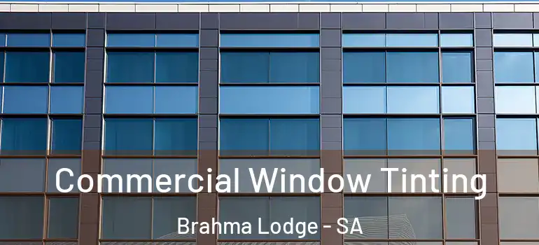Commercial Window Tinting Brahma Lodge - SA