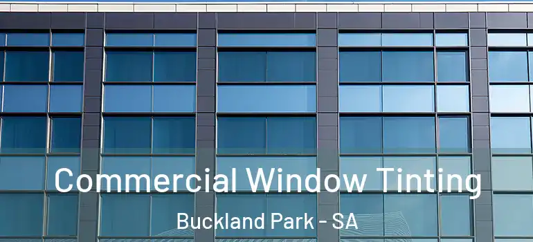 Commercial Window Tinting Buckland Park - SA