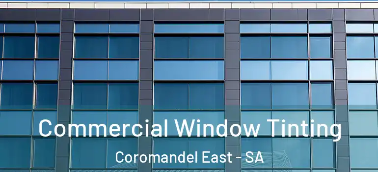 Commercial Window Tinting Coromandel East - SA