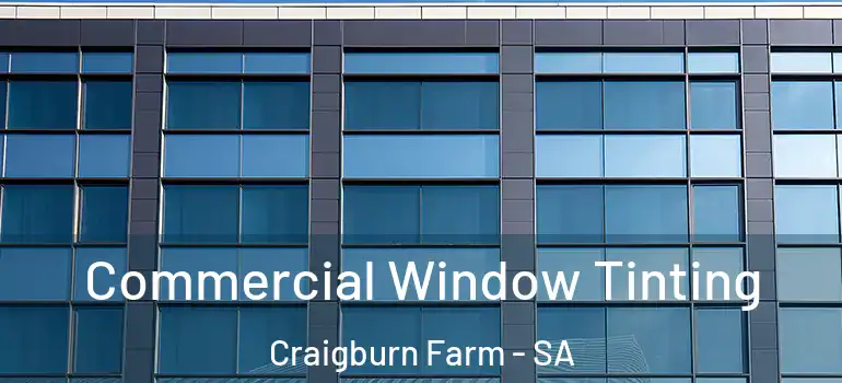 Commercial Window Tinting Craigburn Farm - SA
