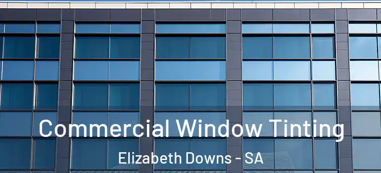 Commercial Window Tinting Elizabeth Downs - SA