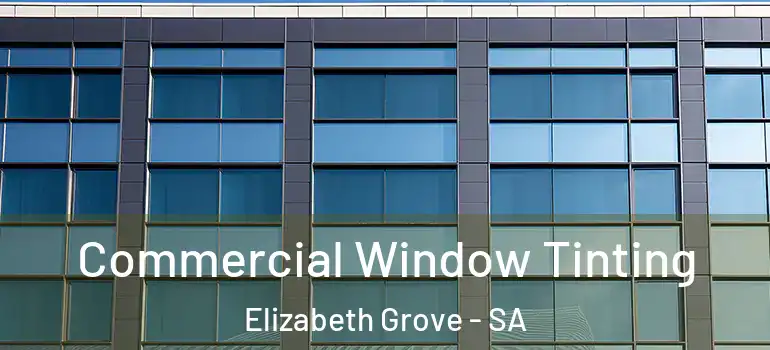 Commercial Window Tinting Elizabeth Grove - SA