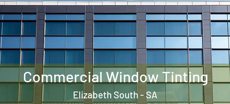 Commercial Window Tinting Elizabeth South - SA