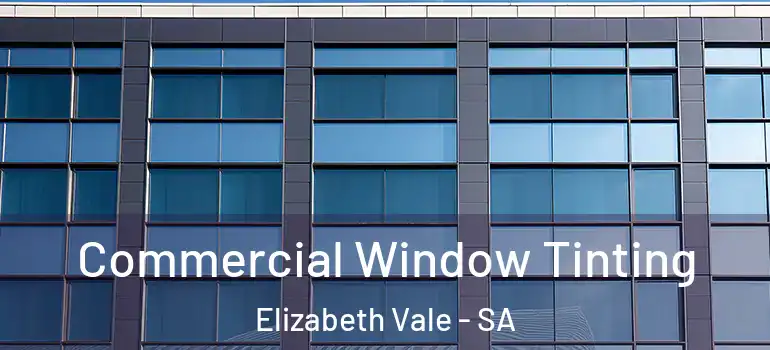 Commercial Window Tinting Elizabeth Vale - SA