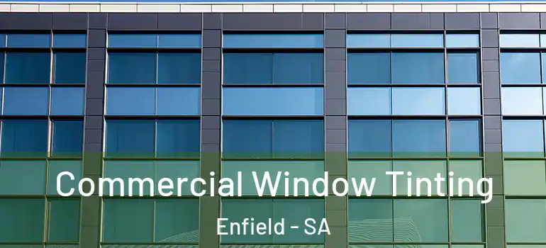 Commercial Window Tinting Enfield - SA
