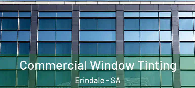 Commercial Window Tinting Erindale - SA