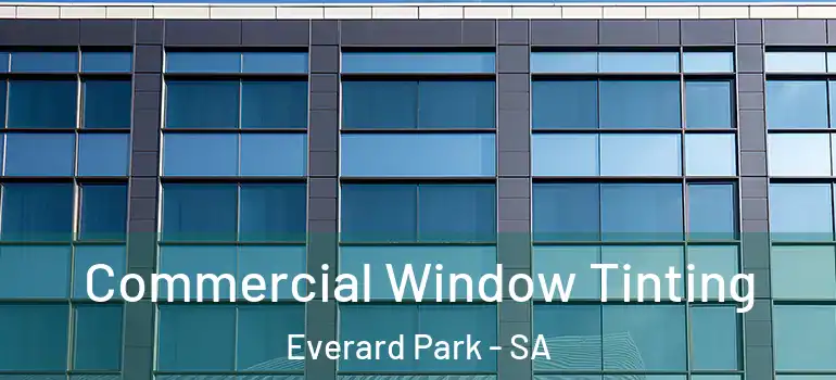 Commercial Window Tinting Everard Park - SA