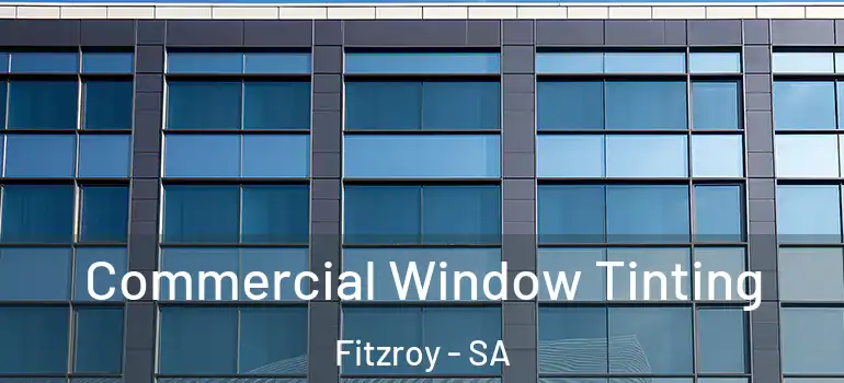 Commercial Window Tinting Fitzroy - SA