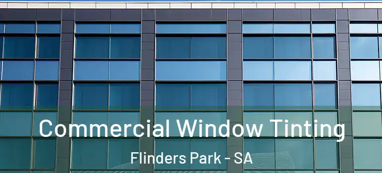  Commercial Window Tinting Flinders Park - SA
