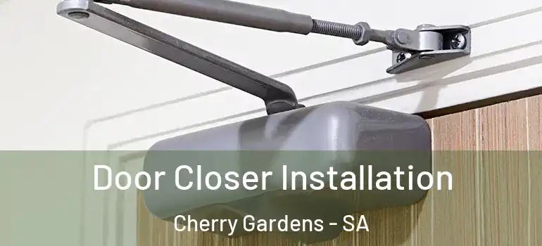 Door Closer Installation Cherry Gardens - SA