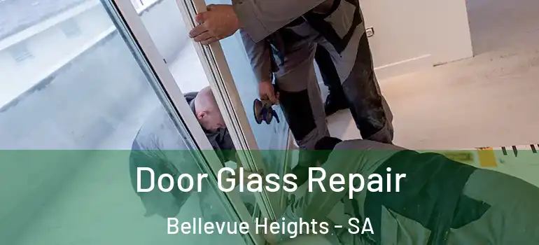 Door Glass Repair Bellevue Heights - SA