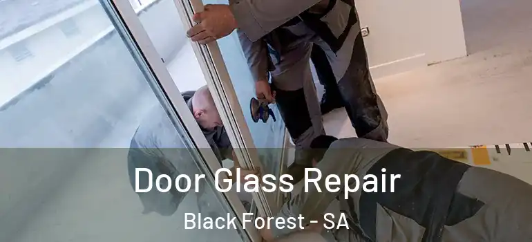 Door Glass Repair Black Forest - SA
