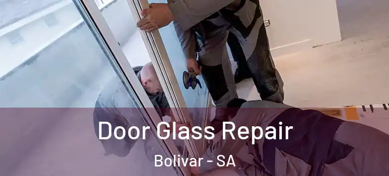 Door Glass Repair Bolivar - SA