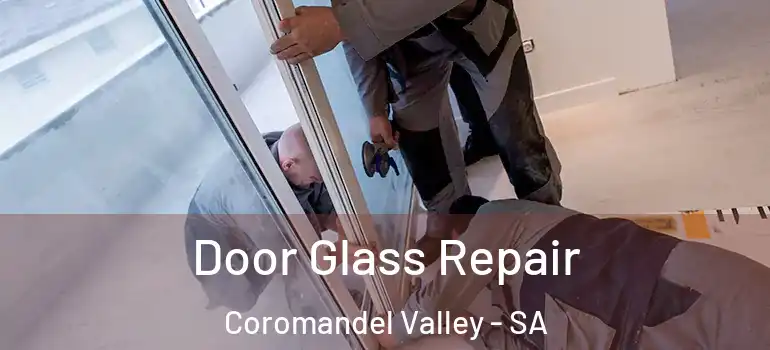 Door Glass Repair Coromandel Valley - SA