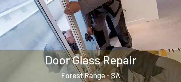 Door Glass Repair Forest Range - SA