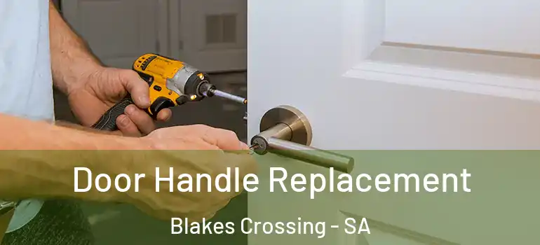 Door Handle Replacement Blakes Crossing - SA